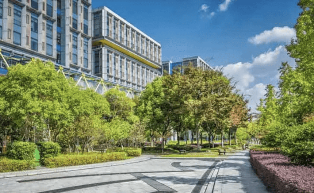 commercial tree service