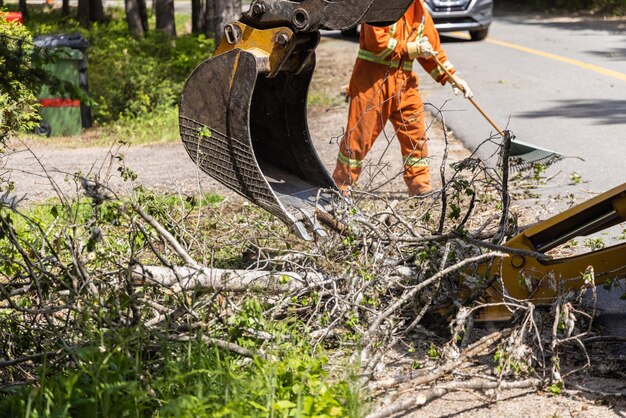 emergency tree removal