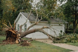 emergency tree service fall river