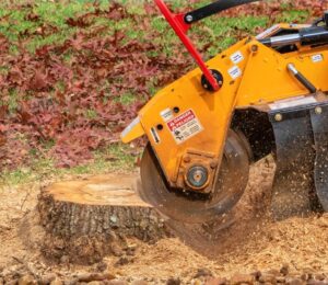 stump removal fall river