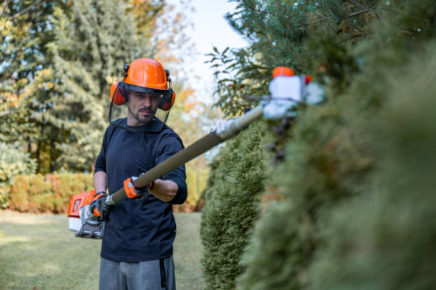 shrub pruning fall river