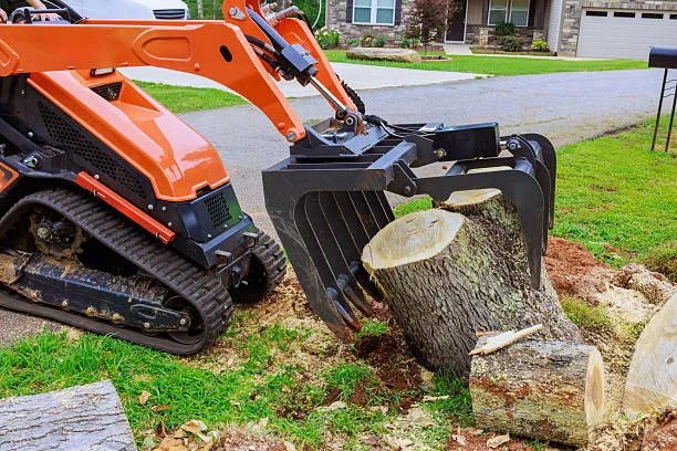 stump grinding fall river