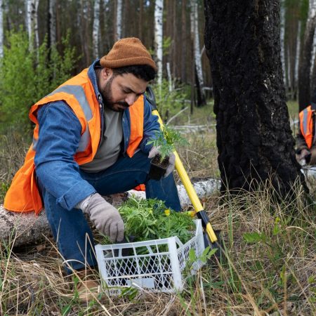 Plant/Tree Health